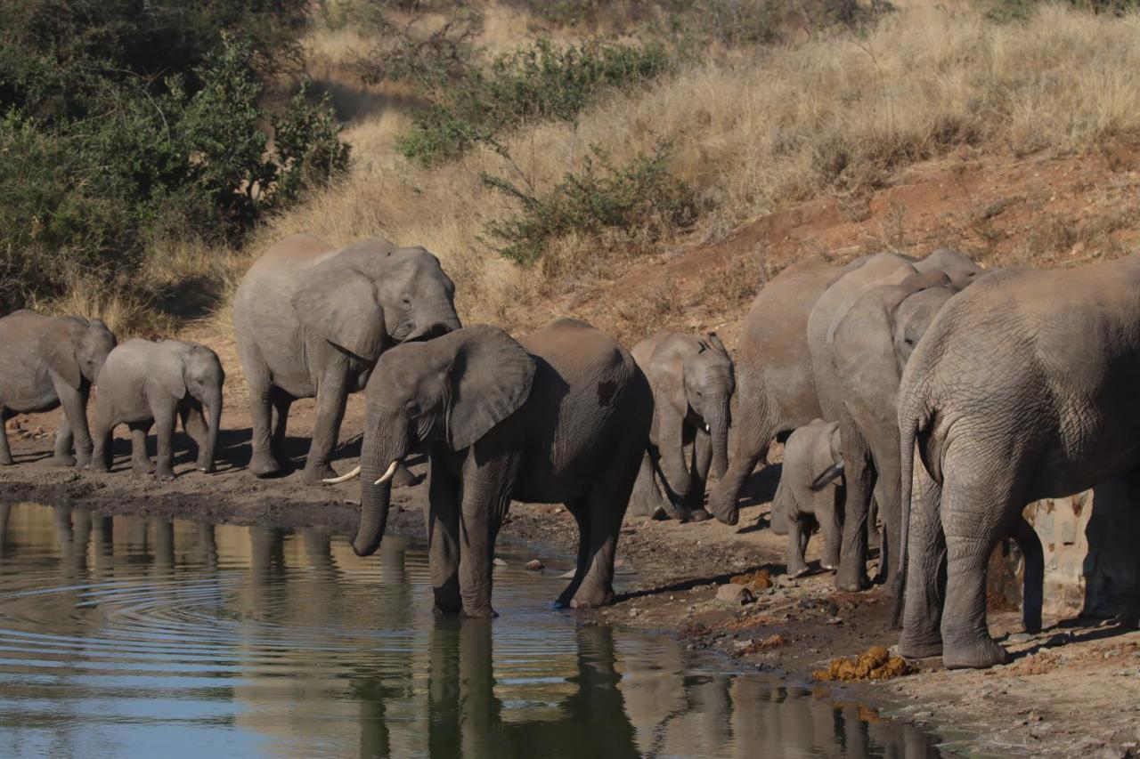 Ku Sungula Safari Lodge バルレ・ゲーム・リザーブ エクステリア 写真