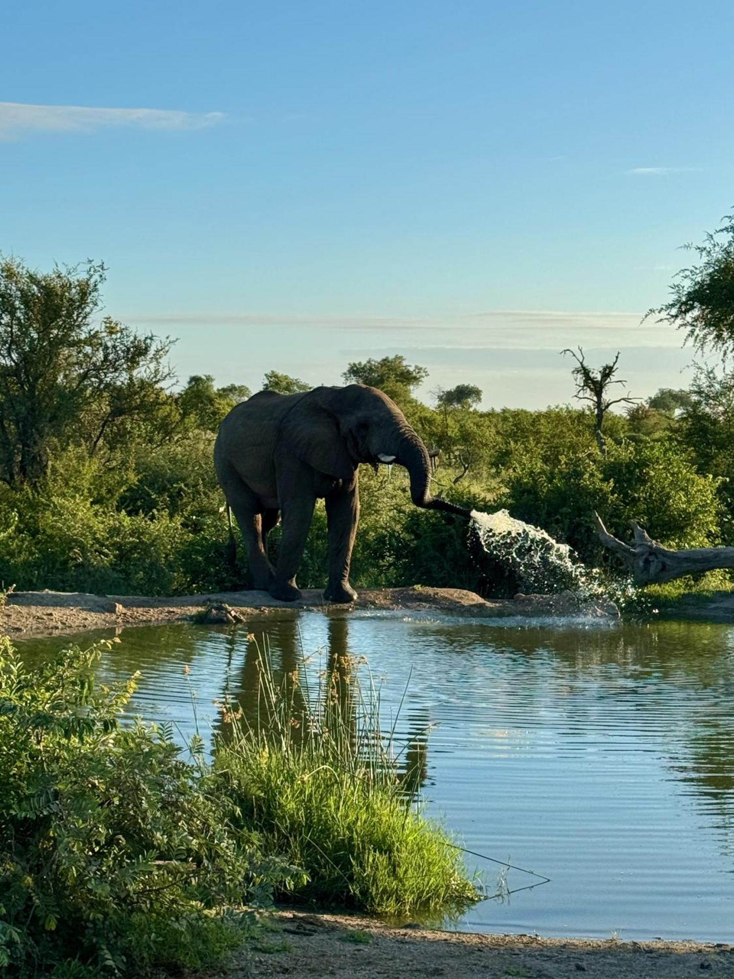 Ku Sungula Safari Lodge バルレ・ゲーム・リザーブ エクステリア 写真