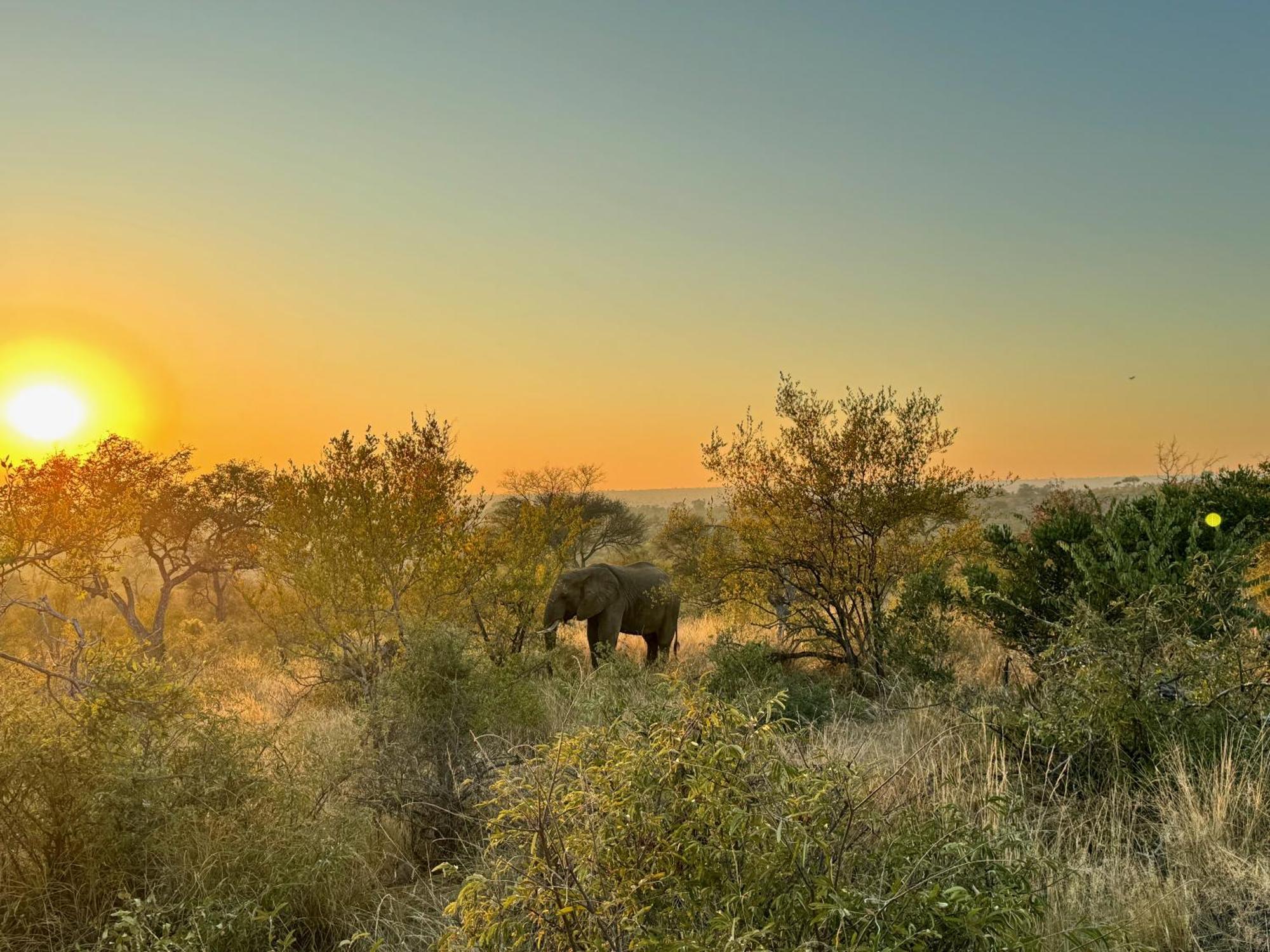 Ku Sungula Safari Lodge バルレ・ゲーム・リザーブ エクステリア 写真