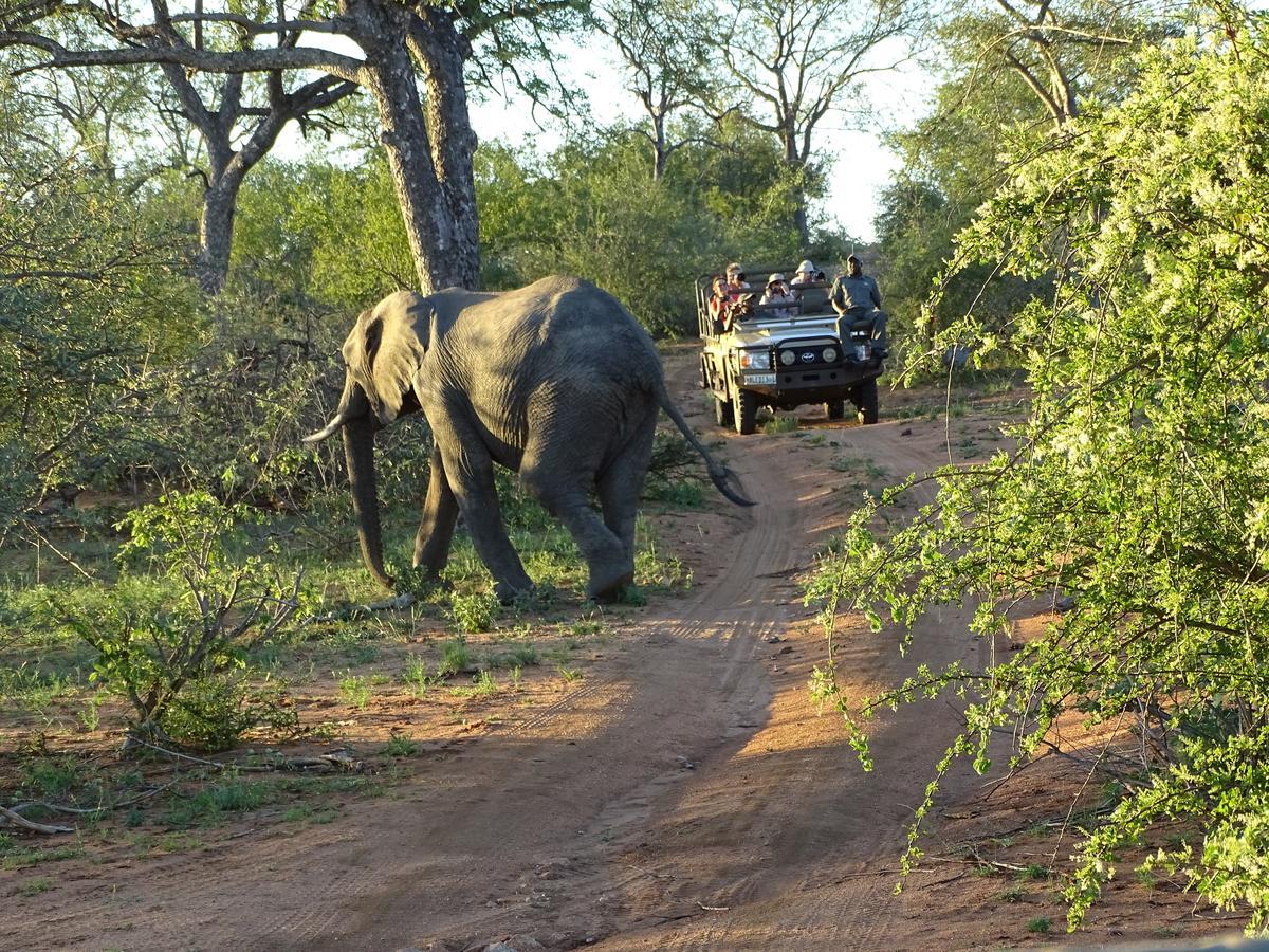 Ku Sungula Safari Lodge バルレ・ゲーム・リザーブ エクステリア 写真